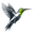 cybersolus.com icon