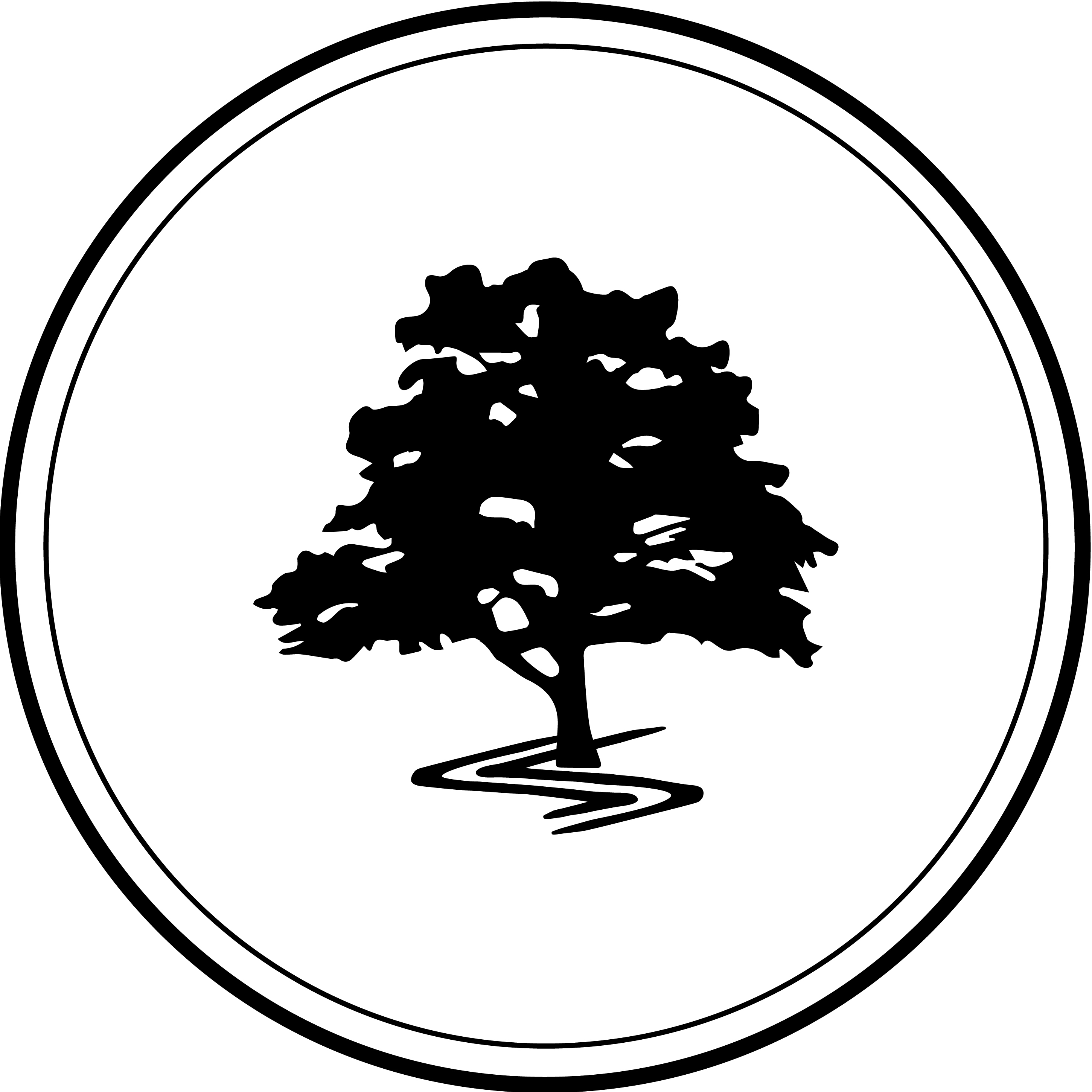 cypresscreekchurch.com icon