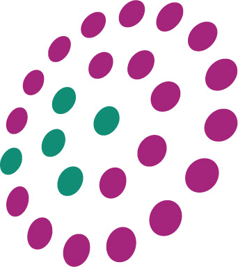 cyycarwash.com.tw icon