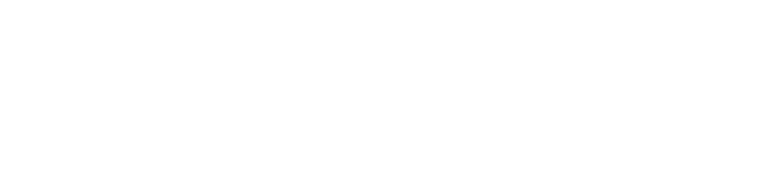 czwaan.nl icon