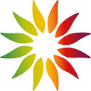 dailyfreshfood.nl icon