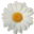 daisyfoundation.org logo