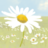 daisypath.com icon