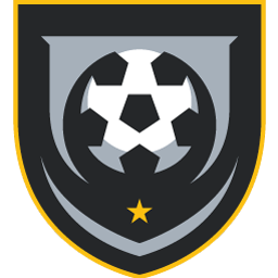 dallassidekicks.com icon
