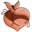 dan-spa.com icon