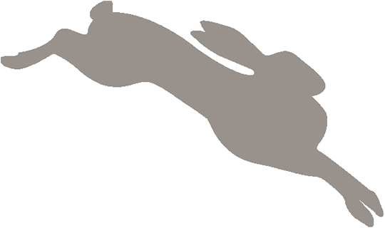 Dancing Rabbit Golf Club logo