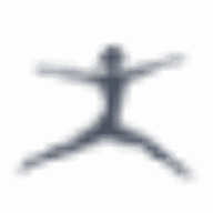danskin.com icon