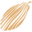 darcis.com icon