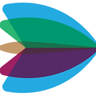 Dart Solutions logo
