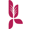 darukala.ir icon