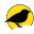 darwinday.org icon