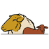 das-goldene-vlies.de icon