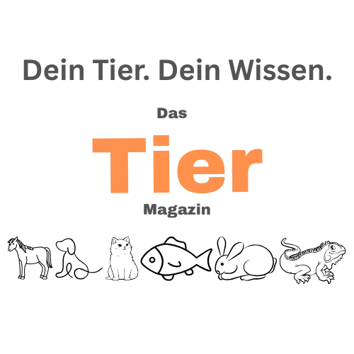das-tier-magazin.de icon