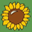 davidhammerstein.org icon