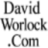 davidworlock.com icon