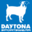 daytonasportswear.com icon