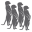 dayvoexpress.com icon