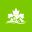 dcstudentadventures.com icon