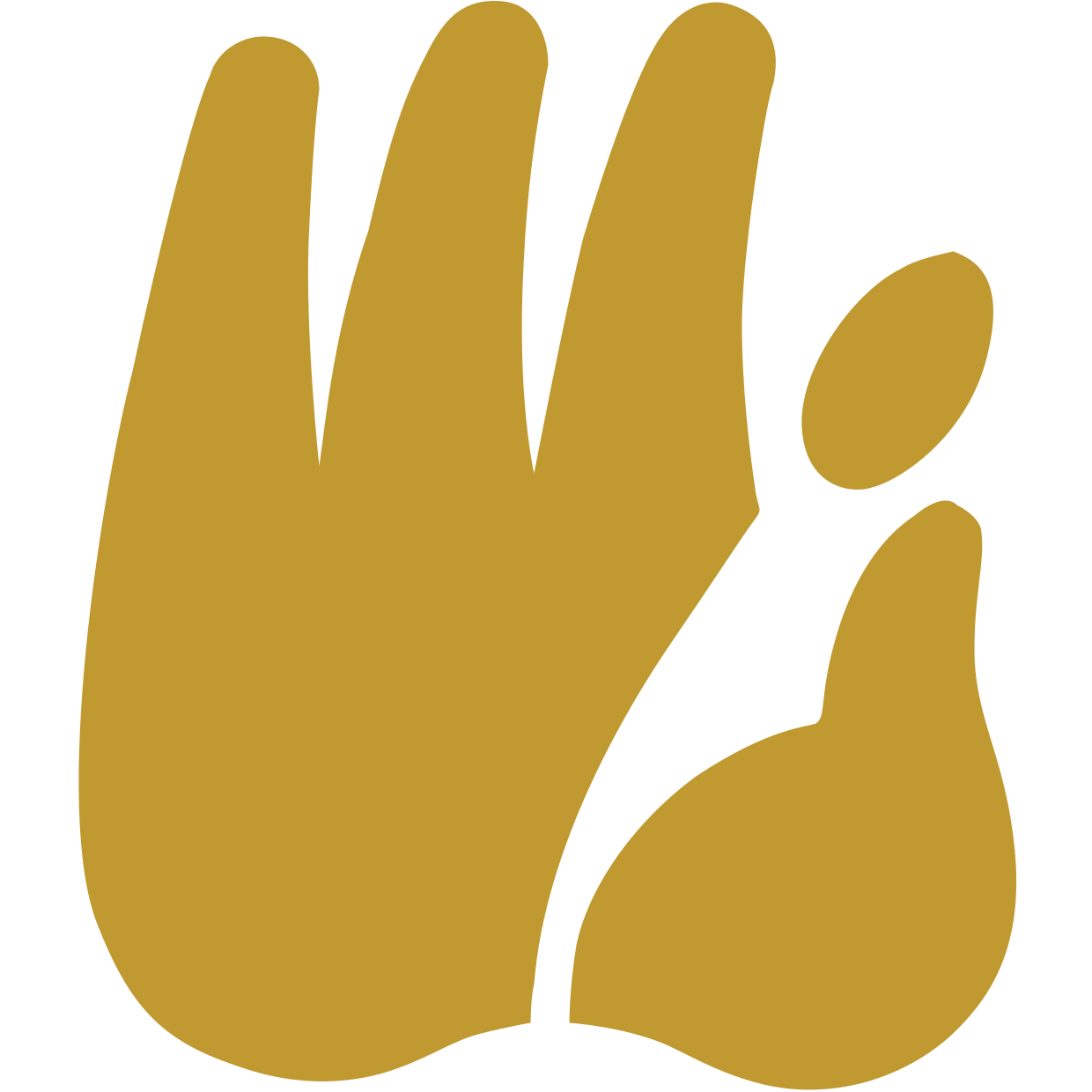 ddc.com.tw icon