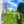 ddrmoped.de icon