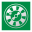 dealflower.it icon