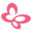 debra-cz.org icon