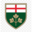 debtconsolidation-ontario.ca icon
