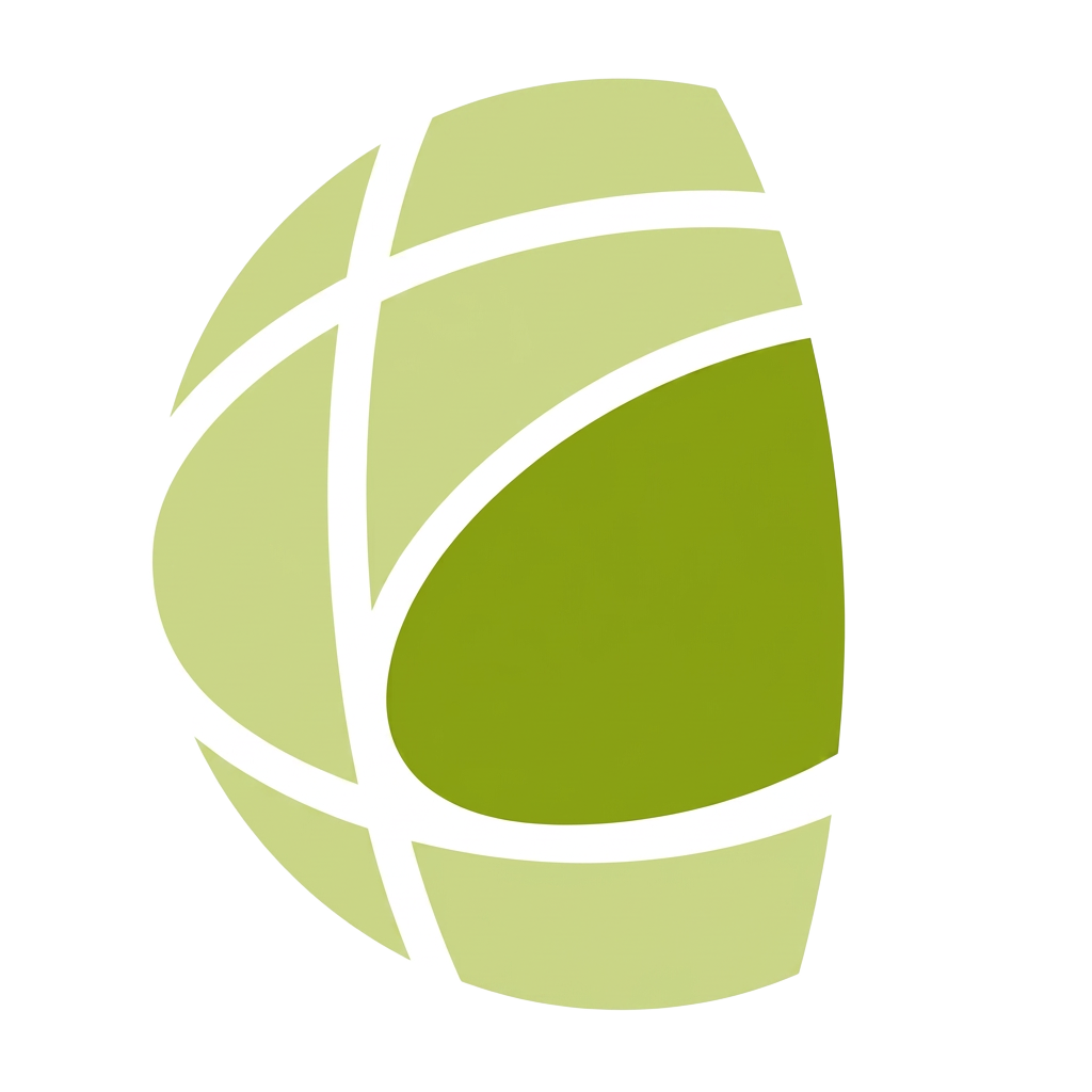 decisyon.com icon