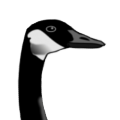 decoyrental.com icon