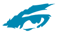 deeplook.com.eg icon