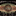 degwiki.com icon