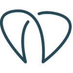 dehilversumsetandarts.nl icon