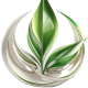 dein-heilpraktiker.com icon