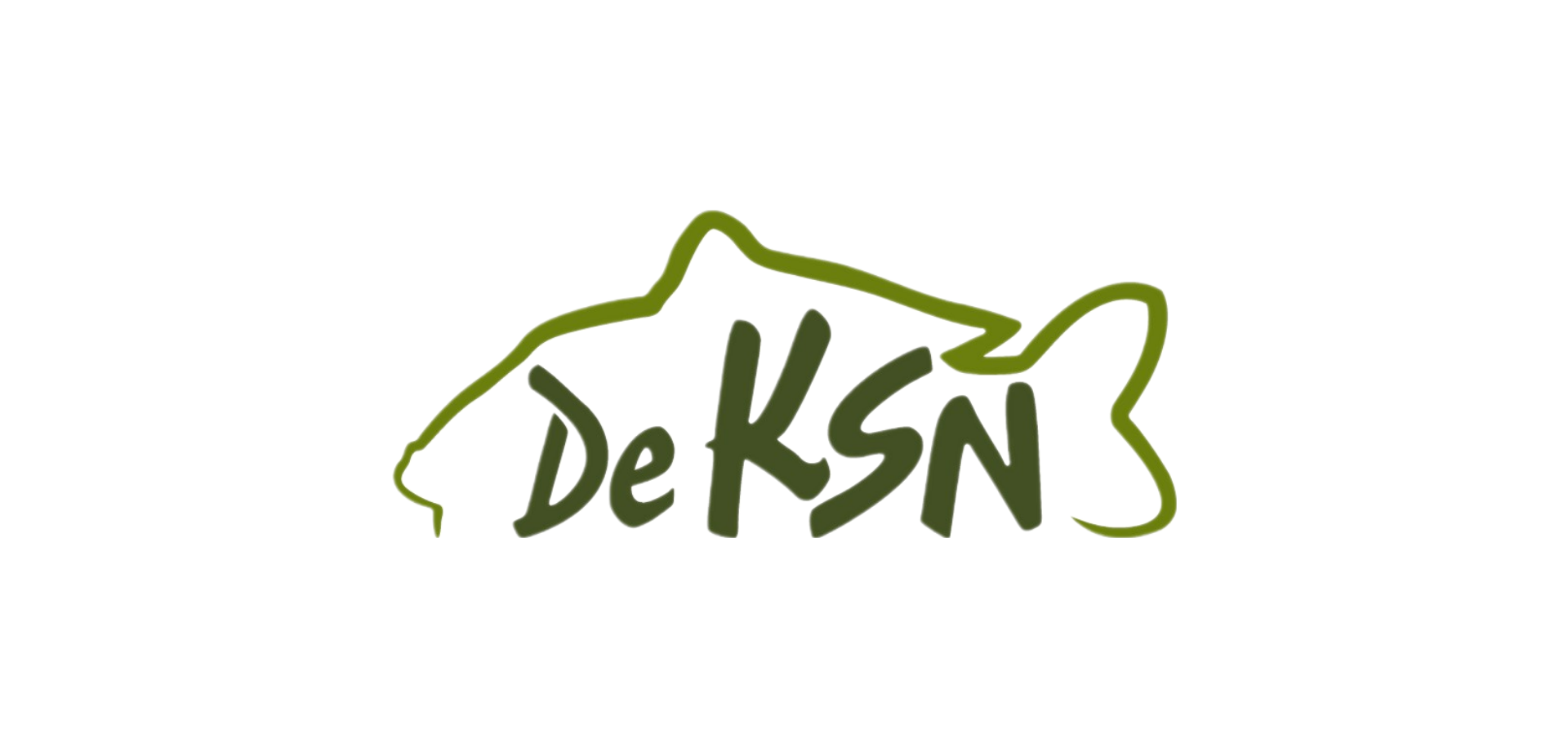 deksn.nl icon