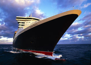 deluxecruises.biz icon