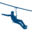 denalizipline.com icon