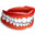 denturistsoftware.com icon