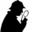 derloesungsfinder.de icon