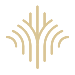dermoconcept.pl icon
