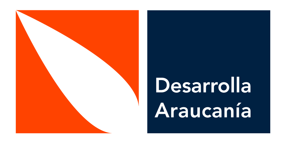 desarrollaraucania.cl icon