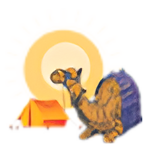 desertheritagecampandresort.com icon