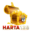 deshdarshanbus.com icon