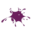 designxpressions.nl icon