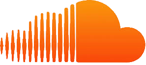destemvansylvie.nl icon