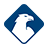 DFV Logo