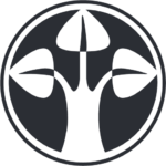 deutsche-finance-group.de icon