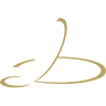 deutschedirigentenakademie.de icon