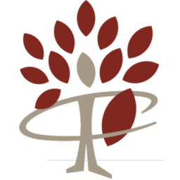 developmentalservices.com icon