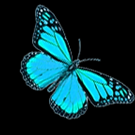 devilbutler.com icon