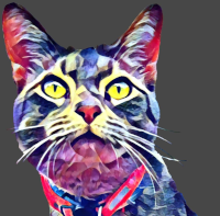 dewinter.com icon
